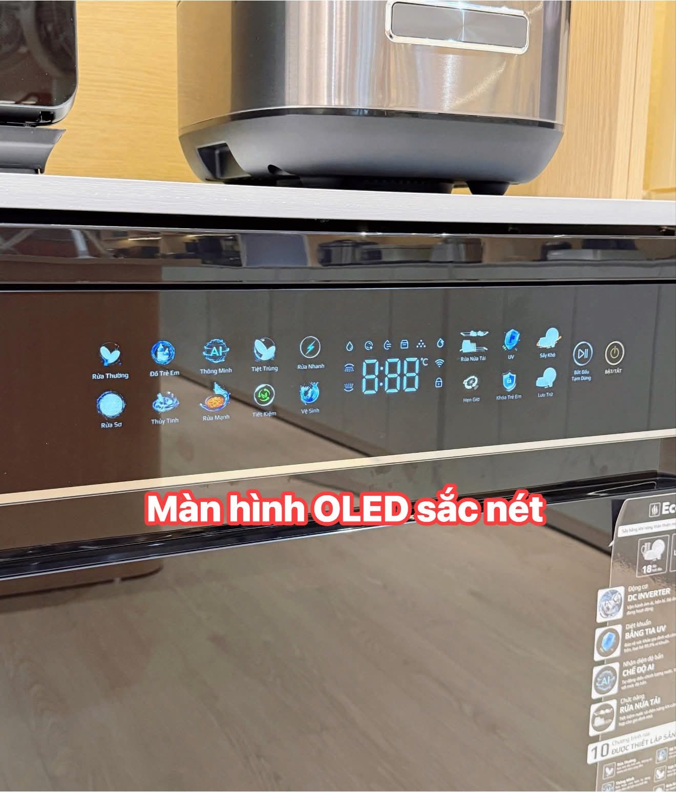 FB_IMG_1755186806418